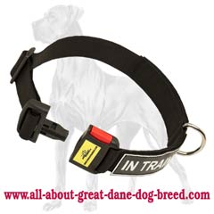 Great Dane Identification Nylon Collar All Weather